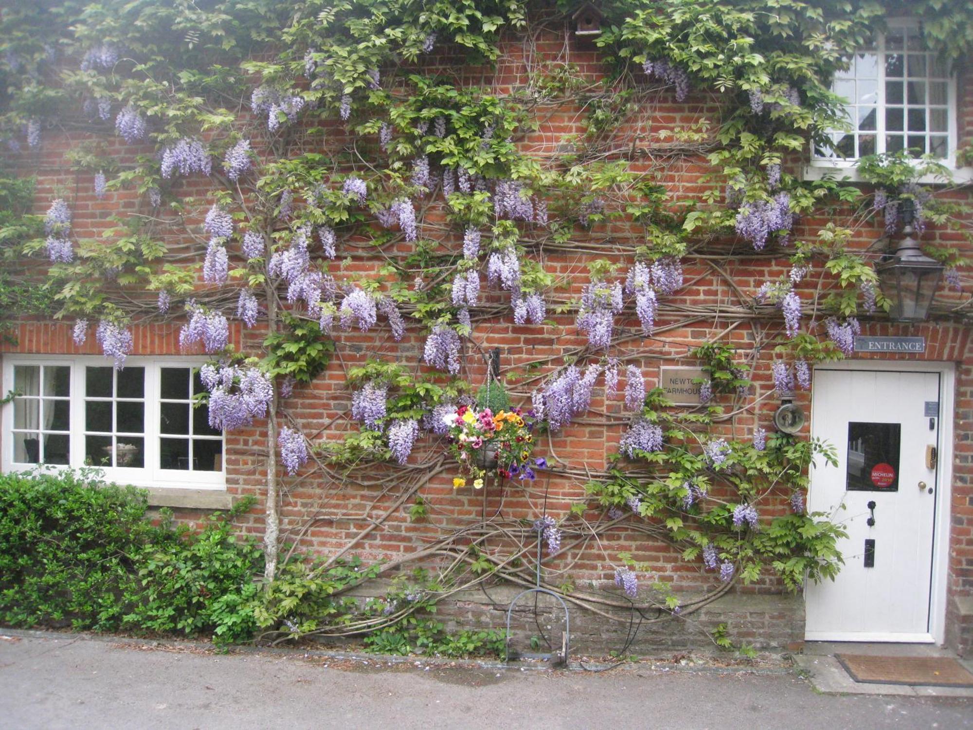 Newton Farmhouse Whiteparish ภายนอก รูปภาพ